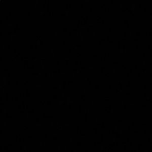 Meet your Posher, Ariel